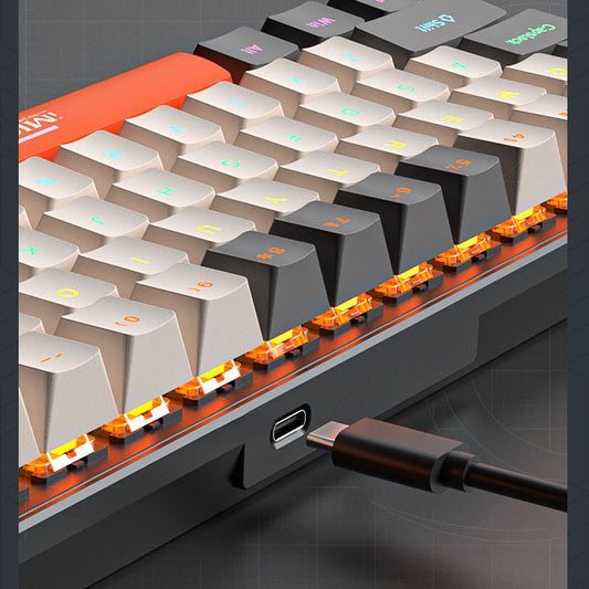 Gizmava Customized Mechanisch Toetsenbord – TYPE-C Bedraad